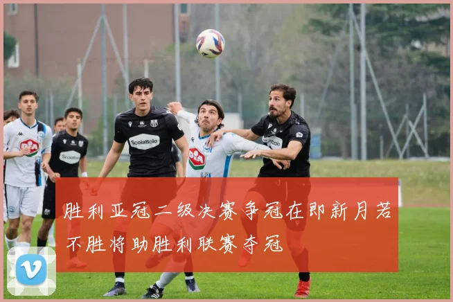 胜利亚冠二级决赛争冠在即新月若不胜将助胜利联赛夺冠